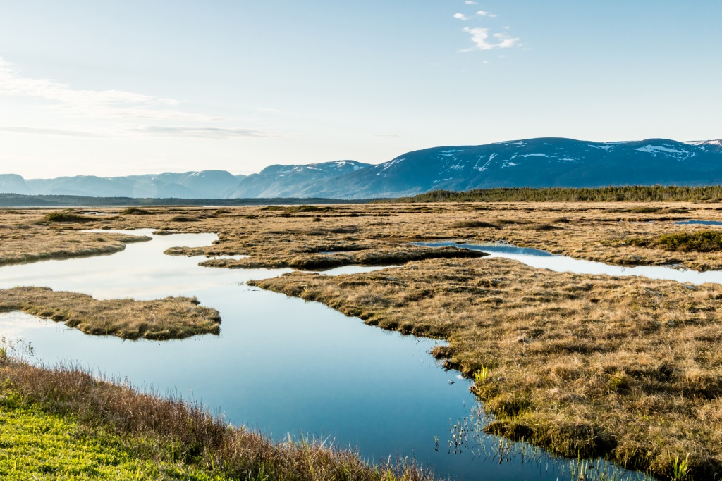 about-claim-innu-land-swamp-labrador